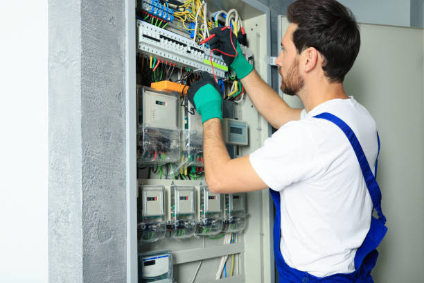 Best Electrical System Inspection  in Hemlock, MI