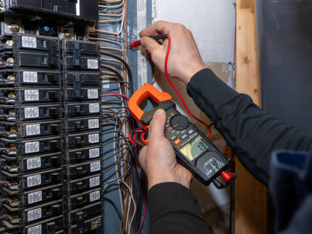 Best Electrician for Home Renovation  in Hemlock, MI