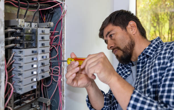 Best Licensed Electrician  in Hemlock, MI